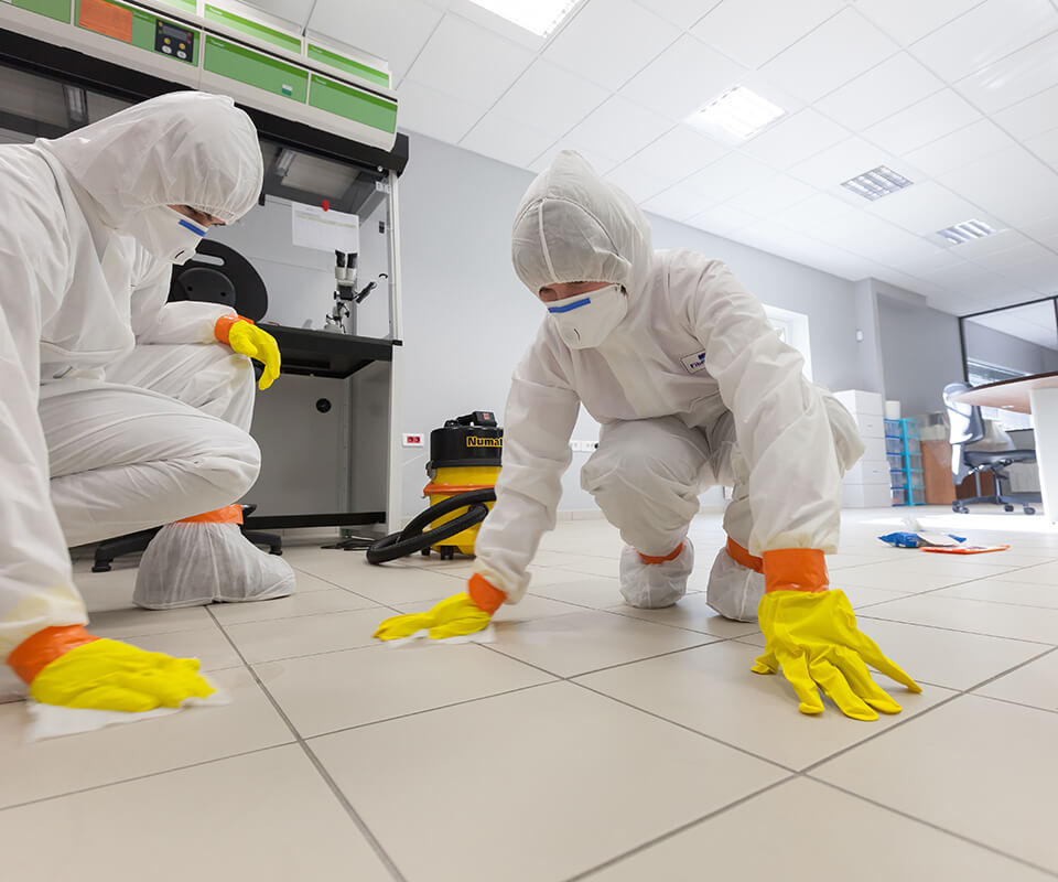 Safe Asbestos Services